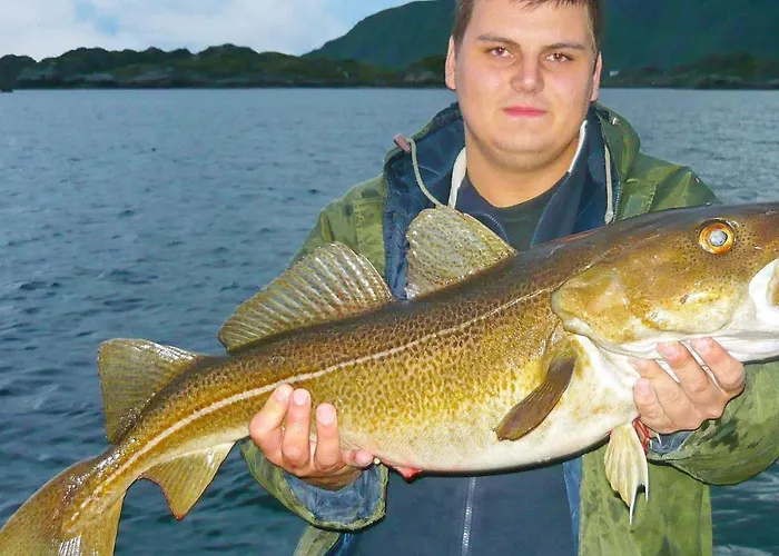 4 Person In Gravdal-by Traum