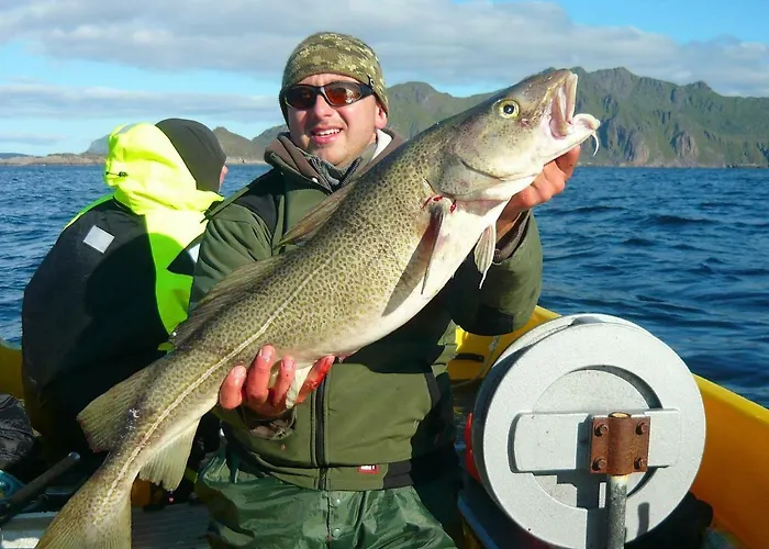 4 Person In Gravdal-by Traum Feriehus Gravdal (Vestvagoy)